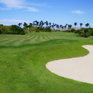 Golf Brazil 2