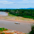 Bolivian Amazon