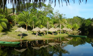 Natural Brazil Tour - Amazon Escape Tour - 6 days